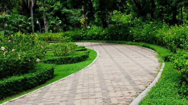 Paver Walkway Repair in Parker