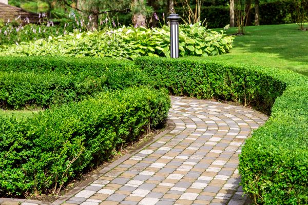 Paved Landscaping in Parker