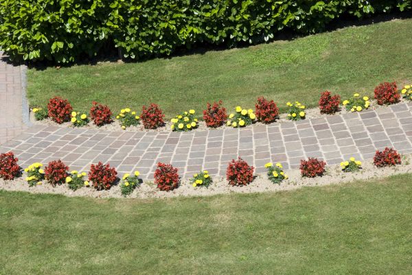 Garden Paving in Parker