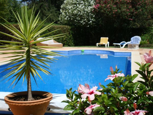 Pool Terrace Renovation in Parker