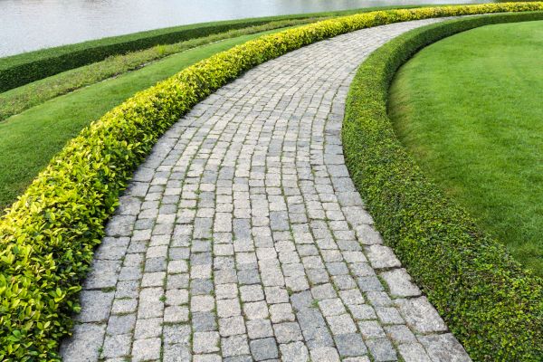 Sidewalk Pavers Installation in Parker