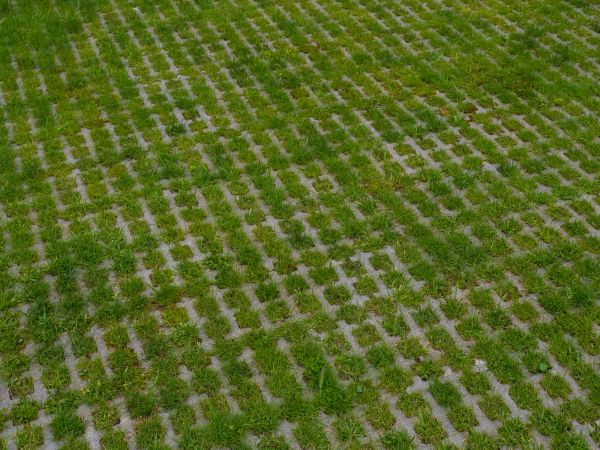 Permeable Pavement Service in Parker