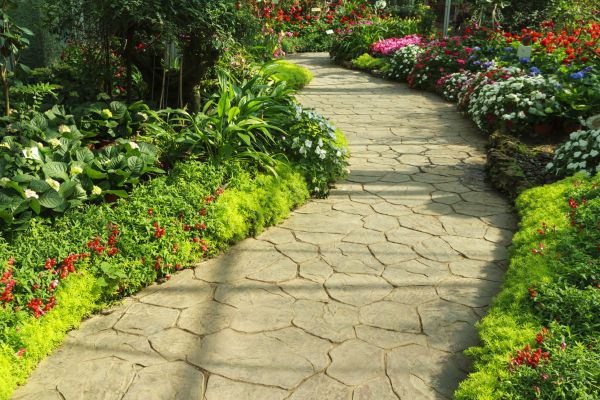 Stone Pathway Service in Parker